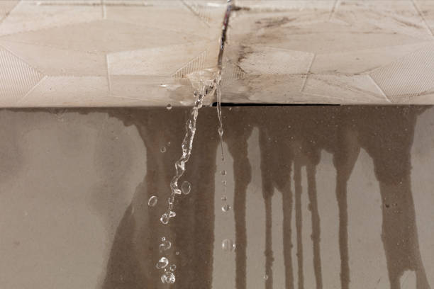 Professional Commercial Water Damage Restoration technician working in Harpster, OH